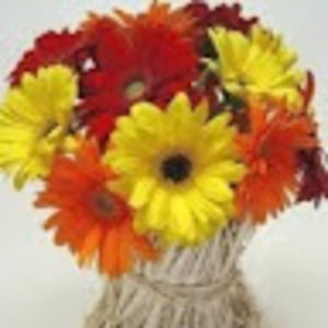 Meet your Posher, Linette